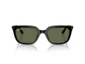 Ray-Ban Lunettes de Soleil RB 4439D 901/9A