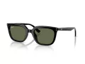 Ray-Ban Lunettes de Soleil RB 4439D 901/9A