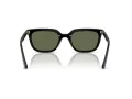 Ray-Ban Lunettes de Soleil RB 4439D 901/9A