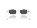 Ray-Ban Lunettes de Soleil RB 4441D 677287