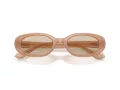 Ray-Ban Lunettes de Soleil RB 4441D 678793
