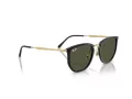 Ray-Ban Lunettes de Soleil RB 4451 630631
