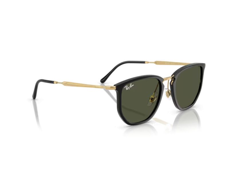 Ray-Ban Lunettes de Soleil RB 4451 630631
