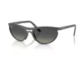 Ray-Ban Lunettes de Soleil RB 4453 601711