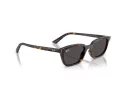 Ray-Ban Zaya Lunettes de Soleil RB 4456 135987