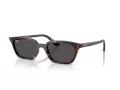 Ray-Ban Zaya Lunettes de Soleil RB 4456 135987