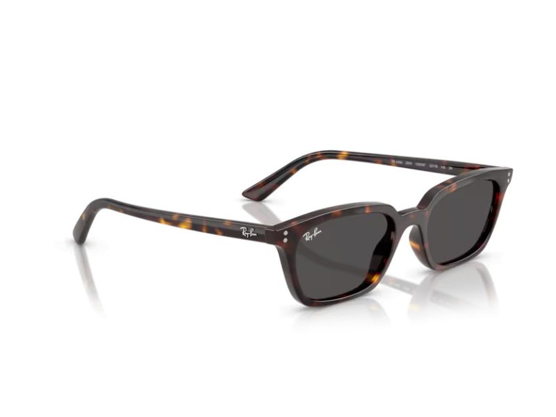 Ray-Ban Zaya Lunettes de Soleil RB 4456 135987