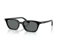 Ray-Ban Zaya Lunettes de Soleil RB 4456 667781