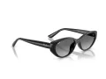 Ray-Ban Lunettes de Soleil RB 4457D 667711