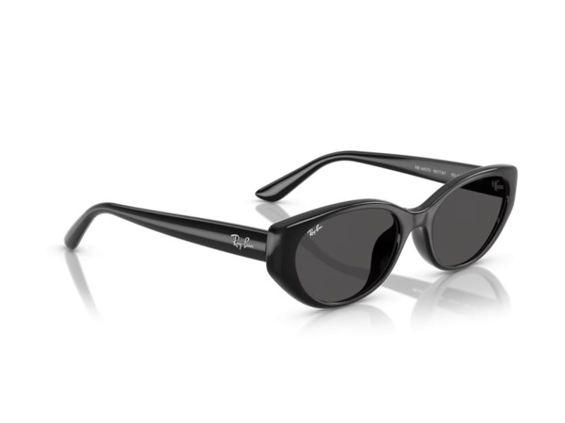 Ray-Ban Lunettes de Soleil RB 4457D 667787