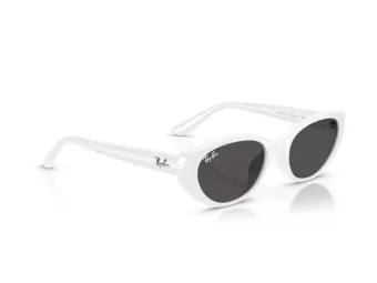 Ray-Ban Lunettes de Soleil RB 4457D 677287