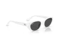 Ray-Ban Lunettes de Soleil RB 4457D 677287
