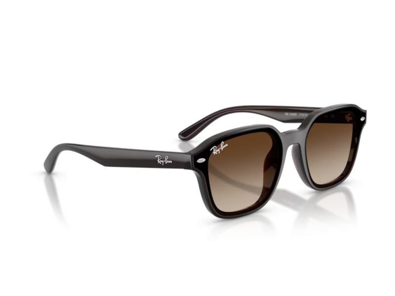 Ray-Ban Lunettes de Soleil RB 4458D 714/13