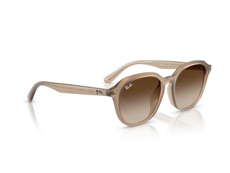 Ray-Ban Lunettes de Soleil RB 4459D 616613