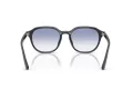 Ray-Ban Lunettes de Soleil RB 4459D 623019