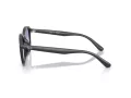 Ray-Ban Lunettes de Soleil RB 4459D 623019