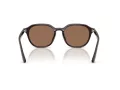 Ray-Ban Lunettes de Soleil RB 4459D 623173