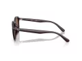 Ray-Ban Lunettes de Soleil RB 4459D 623173