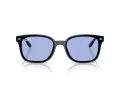 Ray-Ban Lunettes de Soleil RB 4461D 601/80