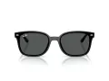 Ray-Ban Lunettes de Soleil RB 4461D 601/87
