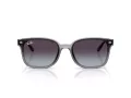 Ray-Ban Lunettes de Soleil RB 4461D 64508G