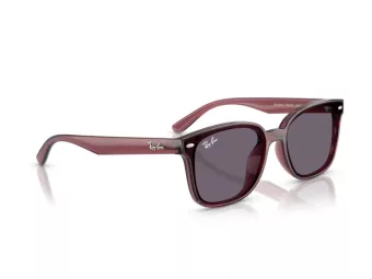 Ray-Ban Lunettes de Soleil RB 4461D 659373