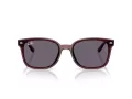 Ray-Ban Lunettes de Soleil RB 4461D 659373