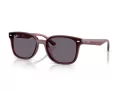 Ray-Ban Lunettes de Soleil RB 4461D 659373