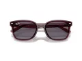 Ray-Ban Lunettes de Soleil RB 4461D 659373