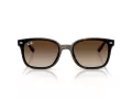 Ray-Ban Lunettes de Soleil RB 4461D 710/13