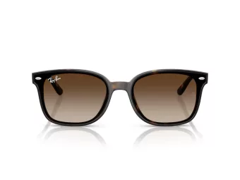 Ray-Ban Lunettes de Soleil RB 4461D 710/13