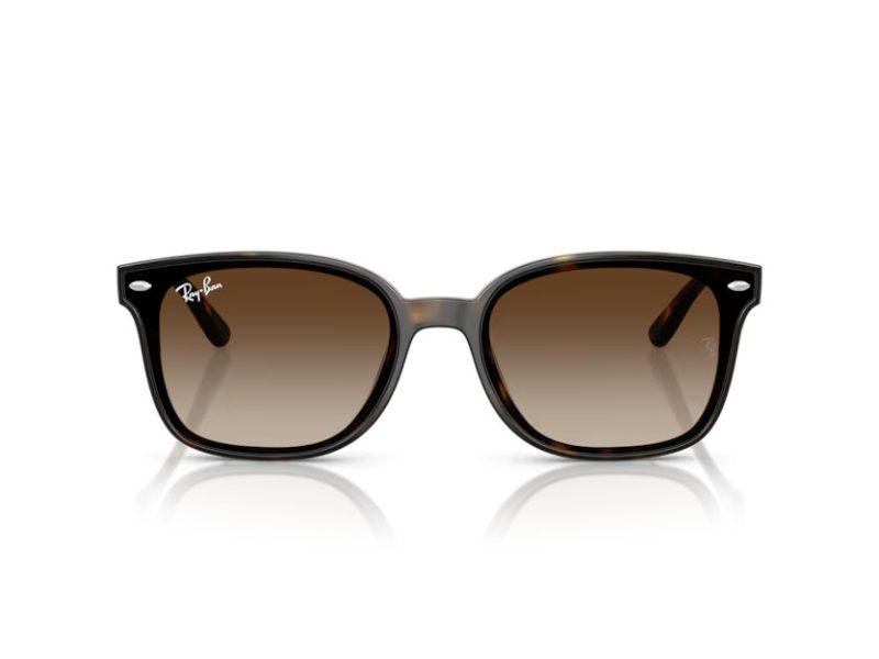 Ray-Ban Lunettes de Soleil RB 4461D 710/13
