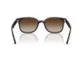 Ray-Ban Lunettes de Soleil RB 4461D 710/13