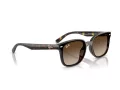 Ray-Ban Lunettes de Soleil RB 4461D 710/13