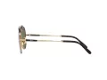 Ray-Ban Aviator Titanium Lunettes de Soleil RB 8225 3138/52
