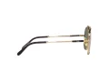 Ray-Ban Aviator Titanium Lunettes de Soleil RB 8225 3138/52
