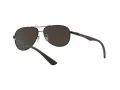 Ray-Ban Carbon Fibre Lunettes de Soleil RB 8313 002/K7