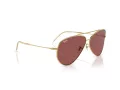 Ray-Ban Aviator Reverse Lunettes de Soleil RB R0101S 001/69
