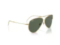 Ray-Ban Aviator Reverse Lunettes de Soleil RB 0RBR0101S 001/VR