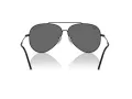 Ray-Ban Aviator Reverse Lunettes de Soleil RB R0101S 002/GR