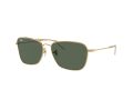 Ray-Ban Caravan Reverse Lunettes de Soleil RB 0RBR0102S 001/VR