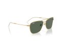 Ray-Ban Caravan Reverse Lunettes de Soleil RB 0RBR0102S 001/VR