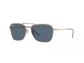 Ray-Ban Caravan Reverse Lunettes de Soleil RB R0102S 92023A