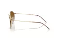 Ray-Ban Round Reverse Lunettes de Soleil RB R0103S 001/CB