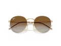 Ray-Ban Round Reverse Lunettes de Soleil RB R0103S 001/CB