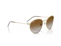 Ray-Ban Round Reverse Lunettes de Soleil RB R0103S 001/CB