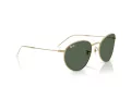 Ray-Ban Round Reverse Lunettes de Soleil RB R0103S 001/VR