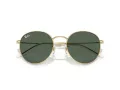 Ray-Ban Round Reverse Lunettes de Soleil RB R0103S 001/VR