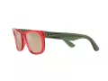 Ray-Ban Wayfarer Reverse Lunettes de Soleil RB R0502S 67132O