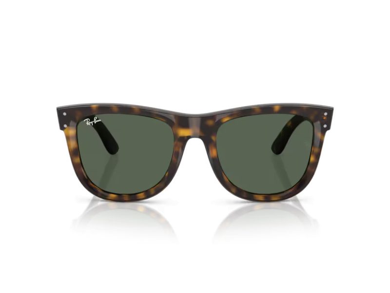 Ray-Ban Wayfarer Reverse Lunettes de Soleil RB R0502S 6790VR
